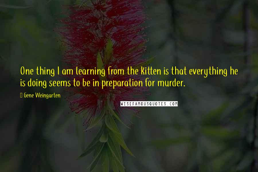 Gene Weingarten Quotes: One thing I am learning from the kitten is that everything he is doing seems to be in preparation for murder.
