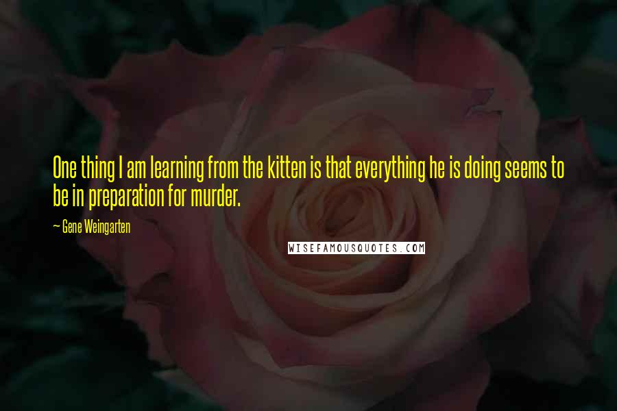 Gene Weingarten Quotes: One thing I am learning from the kitten is that everything he is doing seems to be in preparation for murder.