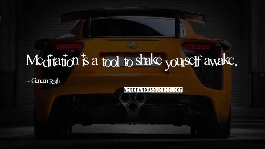 Geneen Roth Quotes: Meditation is a tool to shake yourself awake.