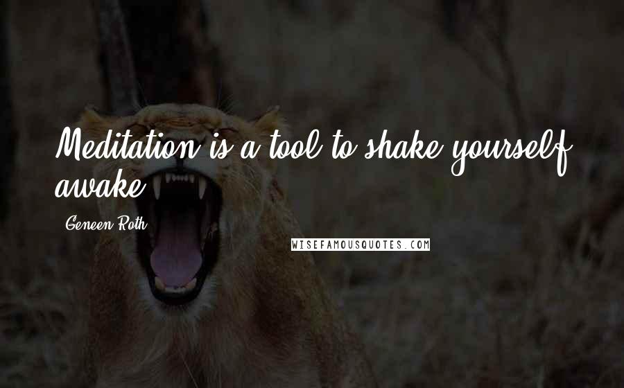 Geneen Roth Quotes: Meditation is a tool to shake yourself awake.