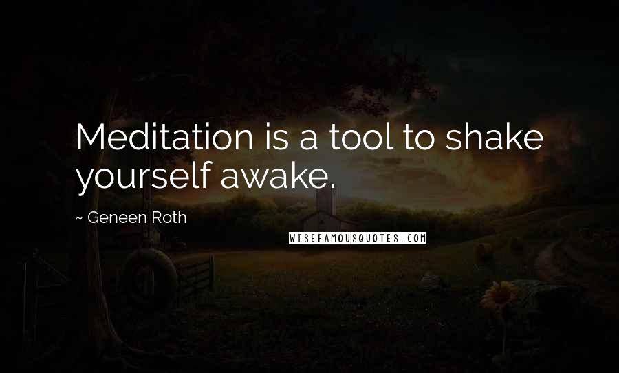 Geneen Roth Quotes: Meditation is a tool to shake yourself awake.
