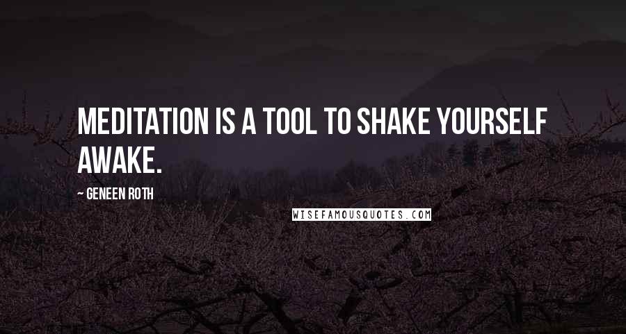 Geneen Roth Quotes: Meditation is a tool to shake yourself awake.