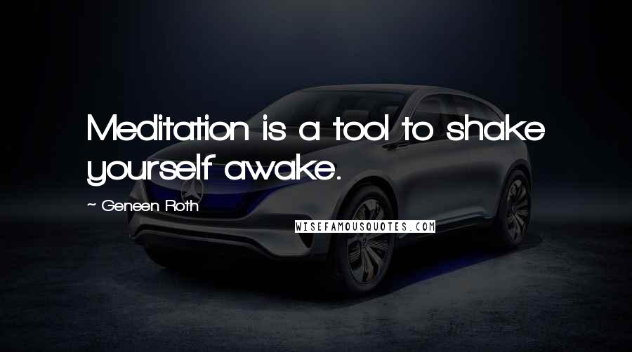 Geneen Roth Quotes: Meditation is a tool to shake yourself awake.