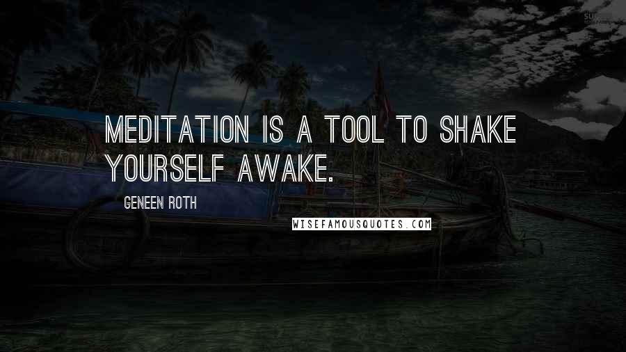 Geneen Roth Quotes: Meditation is a tool to shake yourself awake.