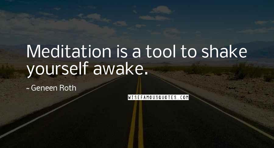 Geneen Roth Quotes: Meditation is a tool to shake yourself awake.