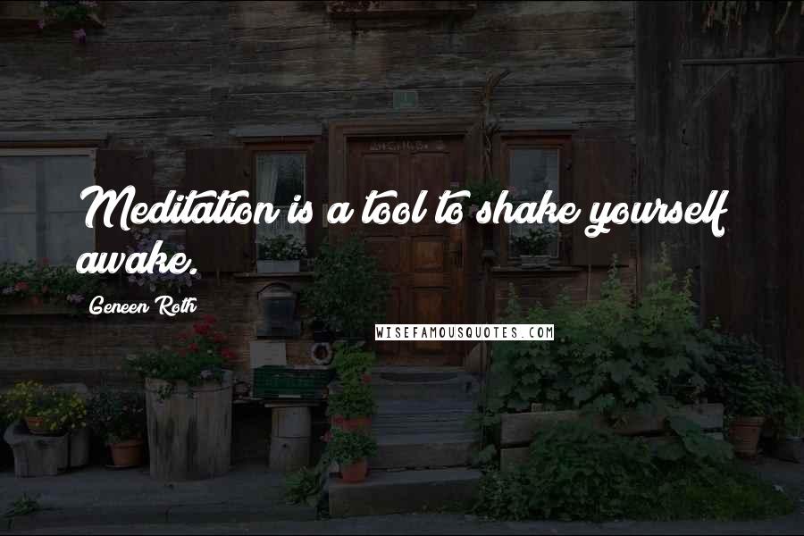 Geneen Roth Quotes: Meditation is a tool to shake yourself awake.