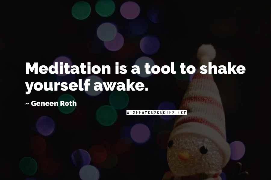 Geneen Roth Quotes: Meditation is a tool to shake yourself awake.