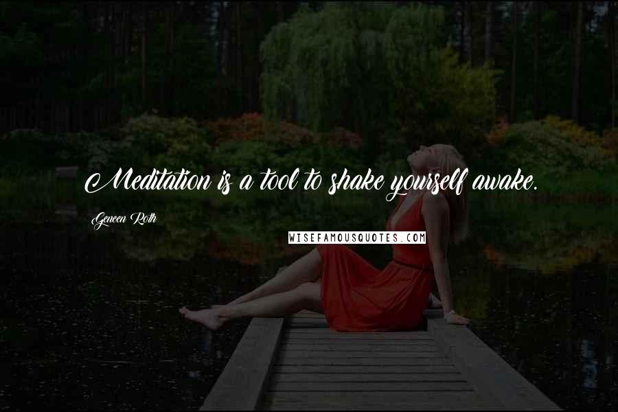 Geneen Roth Quotes: Meditation is a tool to shake yourself awake.