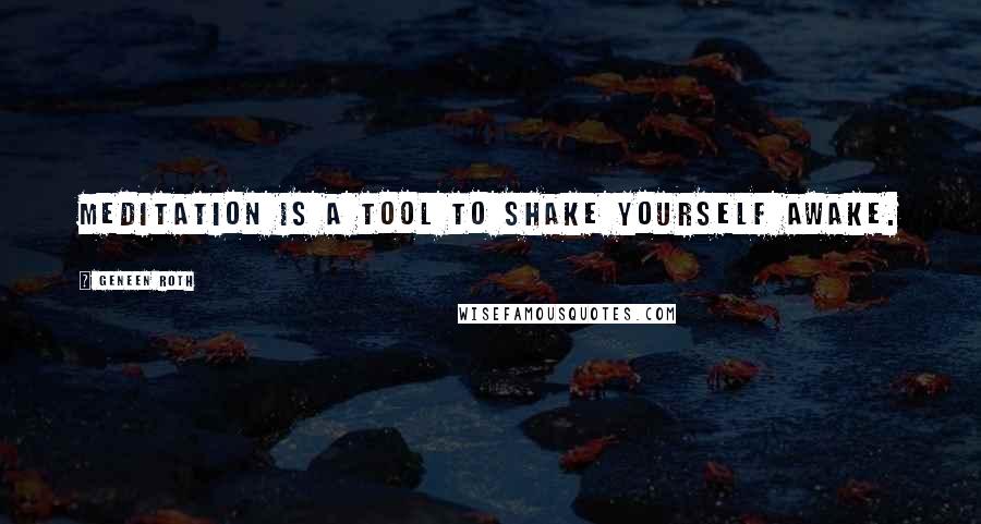 Geneen Roth Quotes: Meditation is a tool to shake yourself awake.