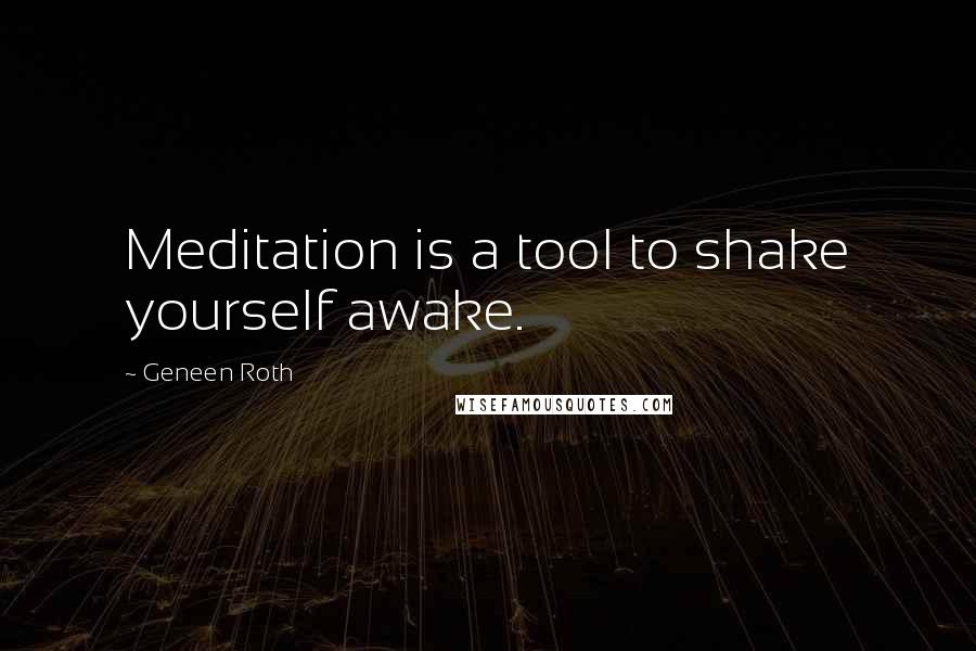 Geneen Roth Quotes: Meditation is a tool to shake yourself awake.