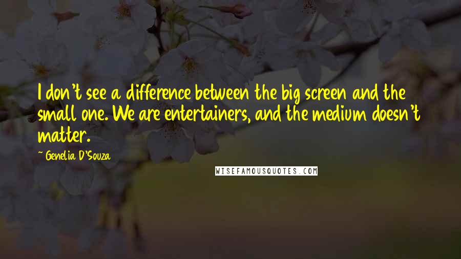Genelia D'Souza Quotes: I don't see a difference between the big screen and the small one. We are entertainers, and the medium doesn't matter.