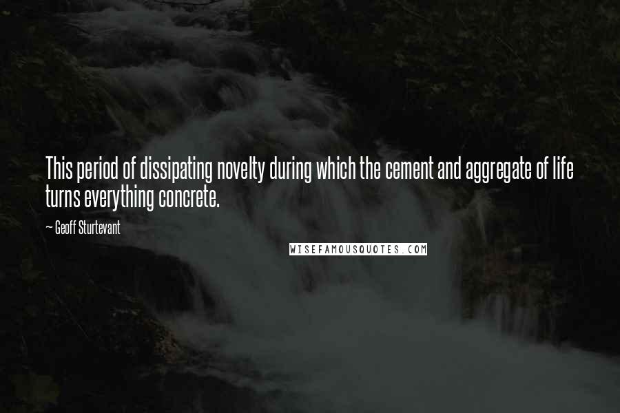 Geoff Sturtevant Quotes: This period of dissipating novelty during which the cement and aggregate of life turns everything concrete.