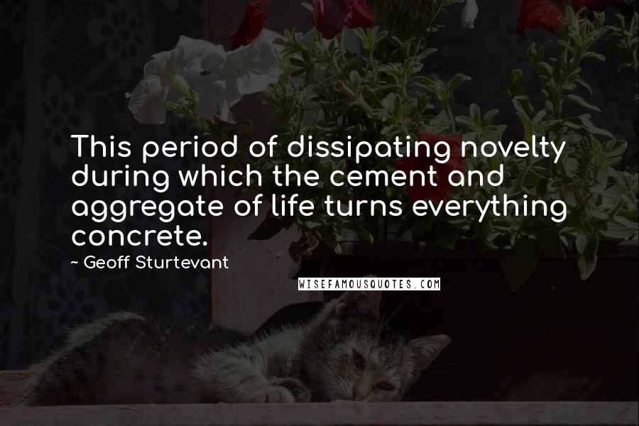 Geoff Sturtevant Quotes: This period of dissipating novelty during which the cement and aggregate of life turns everything concrete.