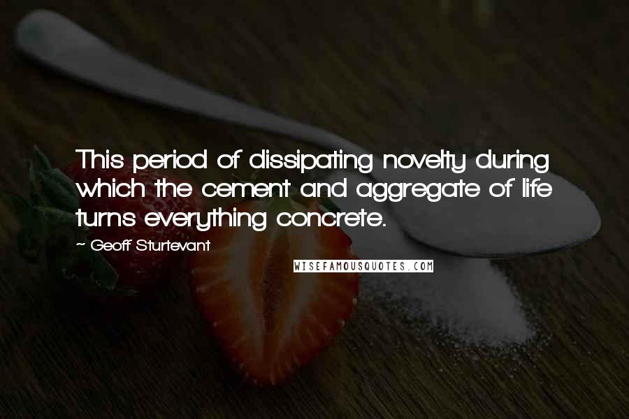 Geoff Sturtevant Quotes: This period of dissipating novelty during which the cement and aggregate of life turns everything concrete.