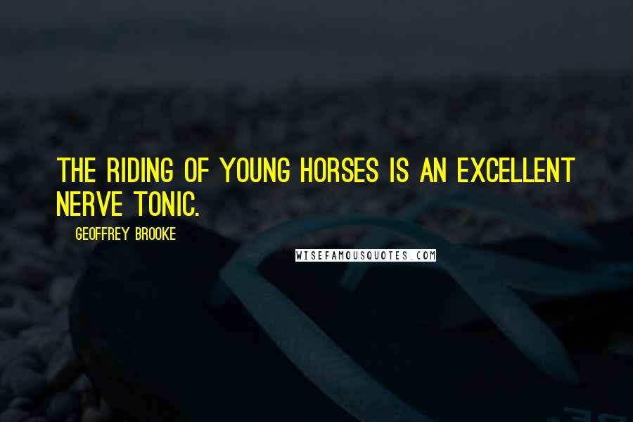 Geoffrey Brooke Quotes: The riding of young horses is an excellent nerve tonic.