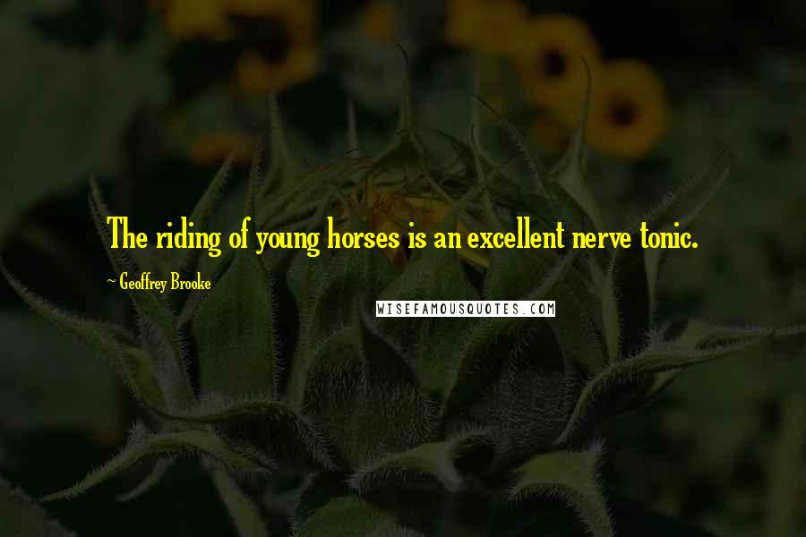 Geoffrey Brooke Quotes: The riding of young horses is an excellent nerve tonic.
