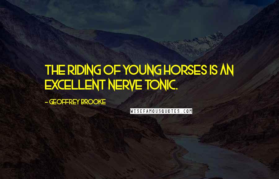 Geoffrey Brooke Quotes: The riding of young horses is an excellent nerve tonic.