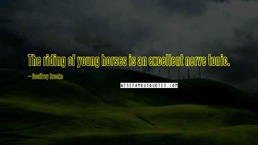 Geoffrey Brooke Quotes: The riding of young horses is an excellent nerve tonic.