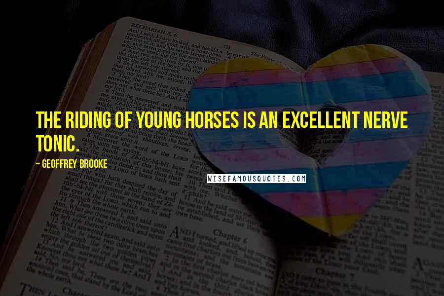 Geoffrey Brooke Quotes: The riding of young horses is an excellent nerve tonic.