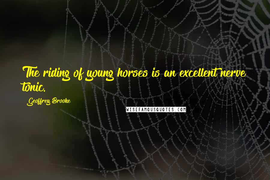 Geoffrey Brooke Quotes: The riding of young horses is an excellent nerve tonic.