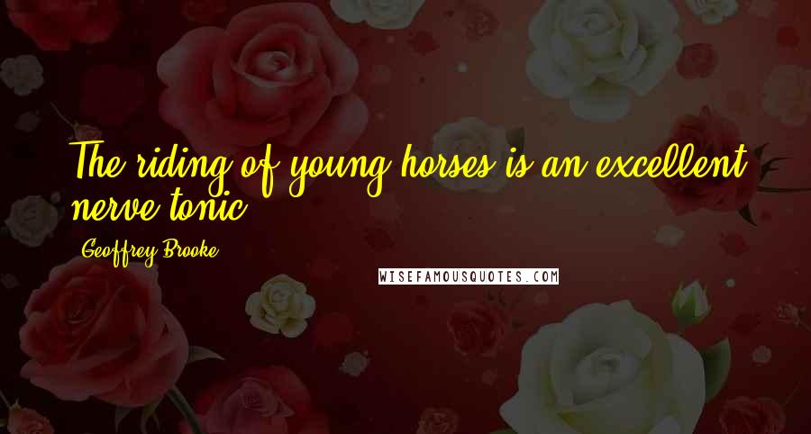 Geoffrey Brooke Quotes: The riding of young horses is an excellent nerve tonic.