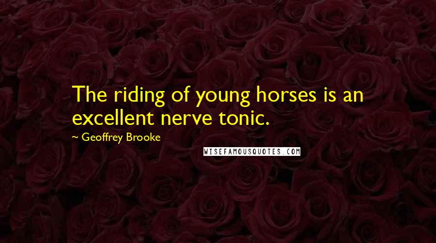 Geoffrey Brooke Quotes: The riding of young horses is an excellent nerve tonic.