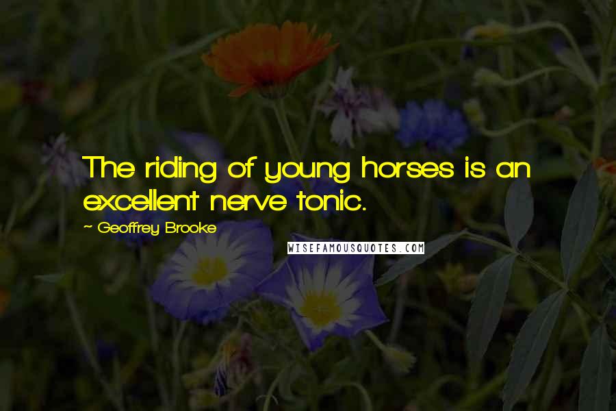 Geoffrey Brooke Quotes: The riding of young horses is an excellent nerve tonic.