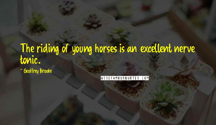 Geoffrey Brooke Quotes: The riding of young horses is an excellent nerve tonic.