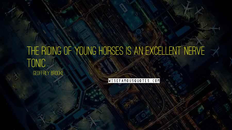 Geoffrey Brooke Quotes: The riding of young horses is an excellent nerve tonic.