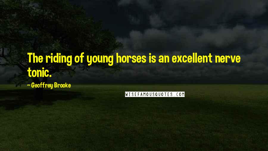 Geoffrey Brooke Quotes: The riding of young horses is an excellent nerve tonic.