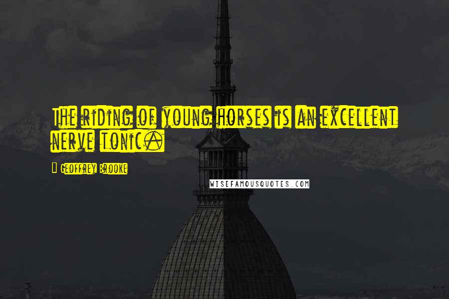 Geoffrey Brooke Quotes: The riding of young horses is an excellent nerve tonic.