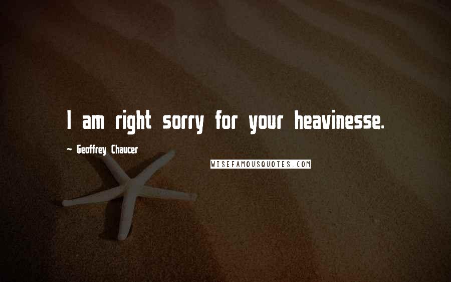 Geoffrey Chaucer Quotes: I am right sorry for your heavinesse.