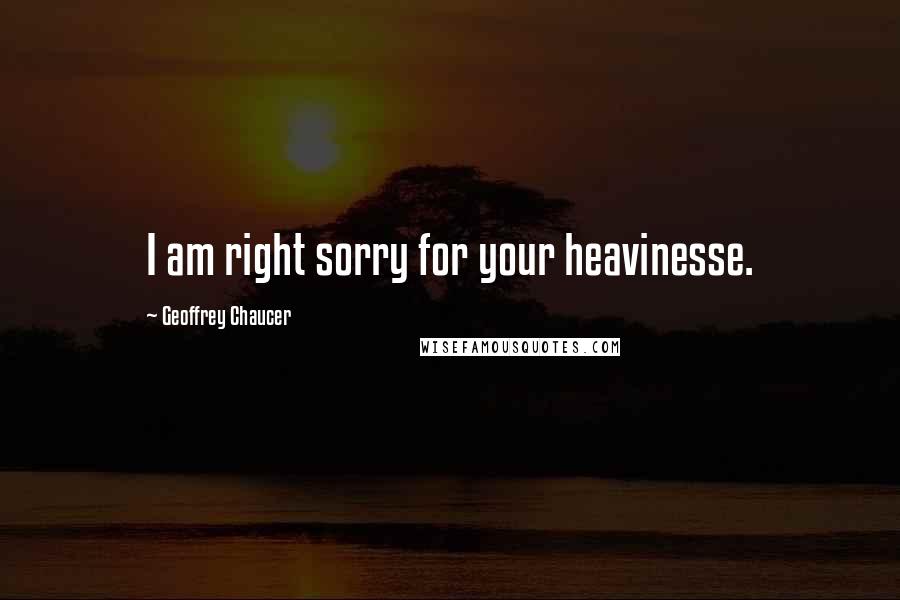 Geoffrey Chaucer Quotes: I am right sorry for your heavinesse.