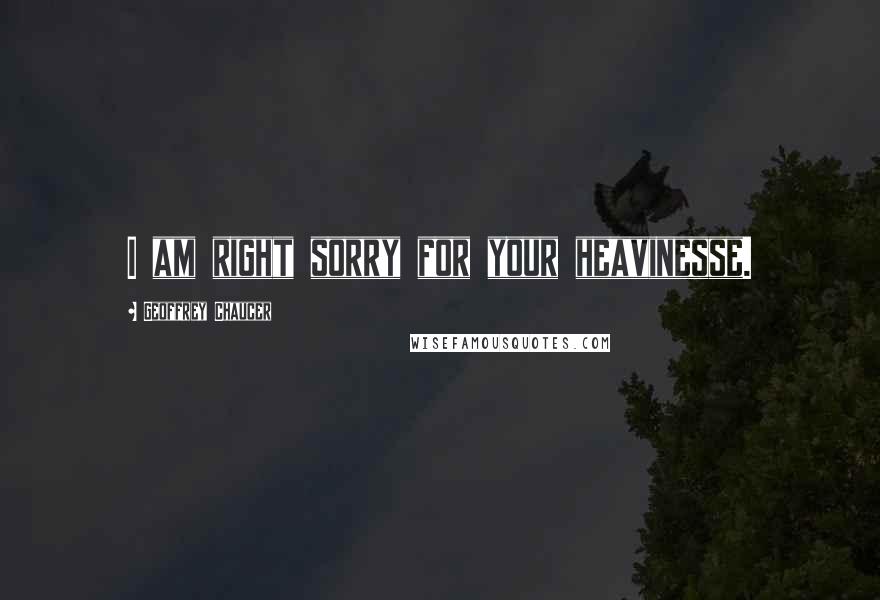 Geoffrey Chaucer Quotes: I am right sorry for your heavinesse.