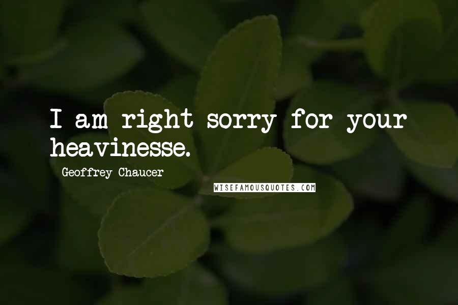 Geoffrey Chaucer Quotes: I am right sorry for your heavinesse.