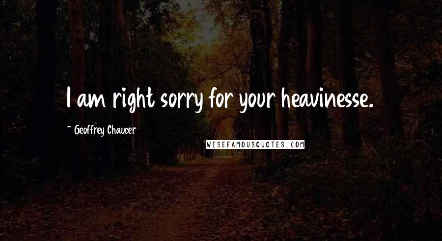 Geoffrey Chaucer Quotes: I am right sorry for your heavinesse.