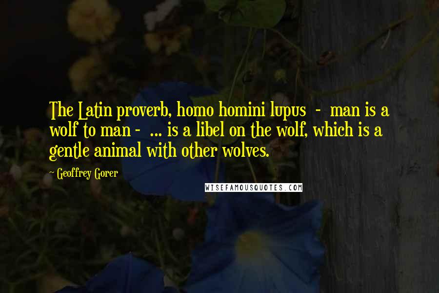 Geoffrey Gorer Quotes: The Latin proverb, homo homini lupus  -  man is a wolf to man -  ... is a libel on the wolf, which is a gentle animal with other wolves.