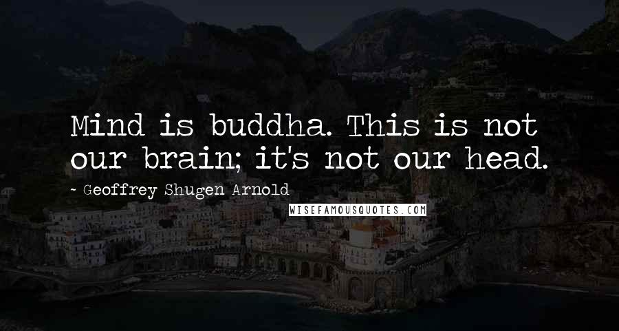 Geoffrey Shugen Arnold Quotes: Mind is buddha. This is not our brain; it's not our head.