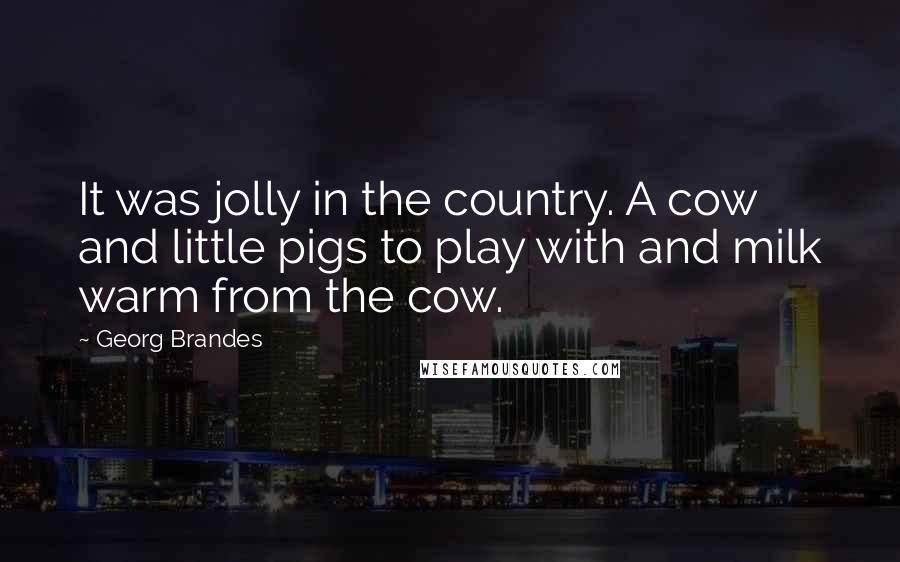 Georg Brandes Quotes: It was jolly in the country. A cow and little pigs to play with and milk warm from the cow.