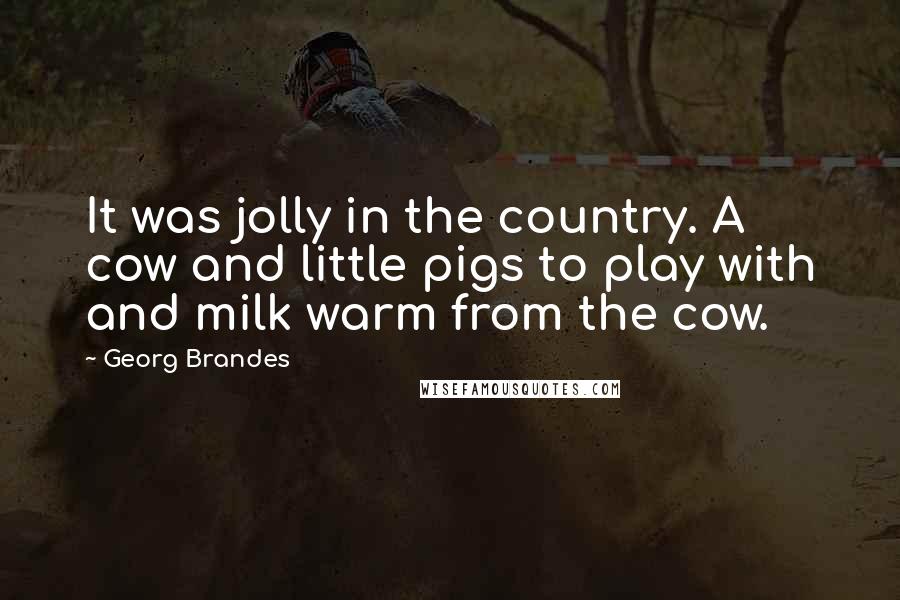 Georg Brandes Quotes: It was jolly in the country. A cow and little pigs to play with and milk warm from the cow.