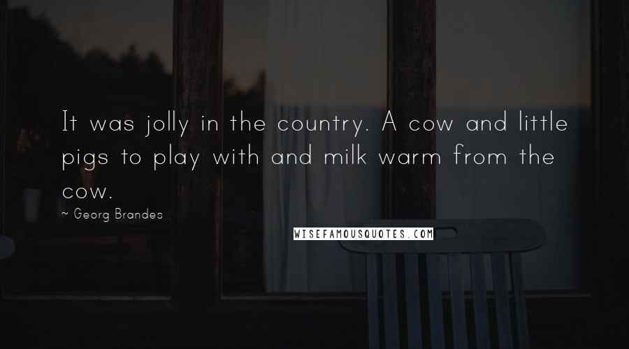 Georg Brandes Quotes: It was jolly in the country. A cow and little pigs to play with and milk warm from the cow.