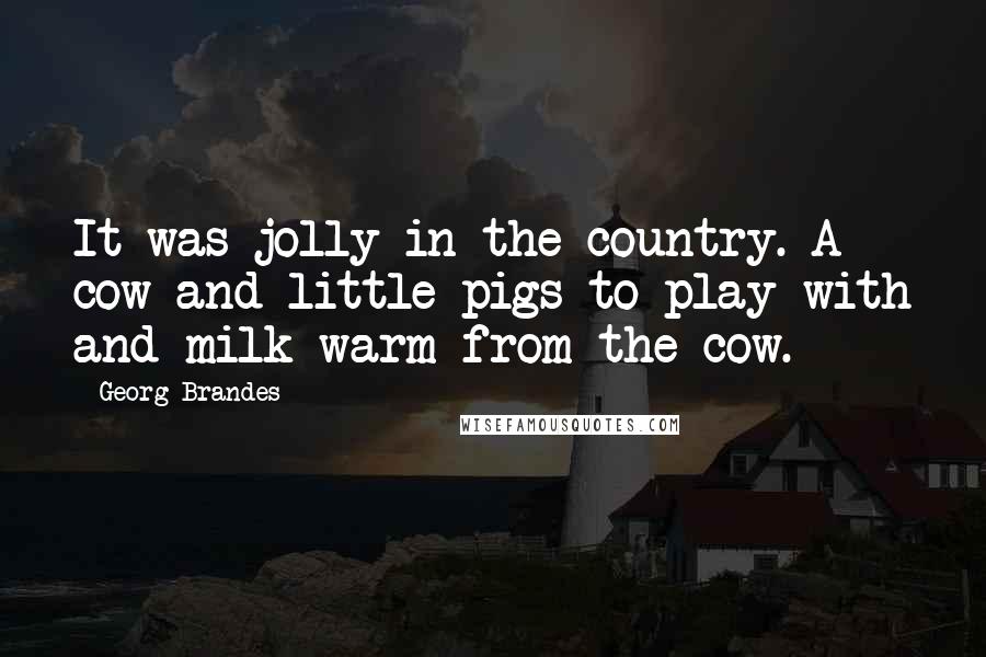 Georg Brandes Quotes: It was jolly in the country. A cow and little pigs to play with and milk warm from the cow.