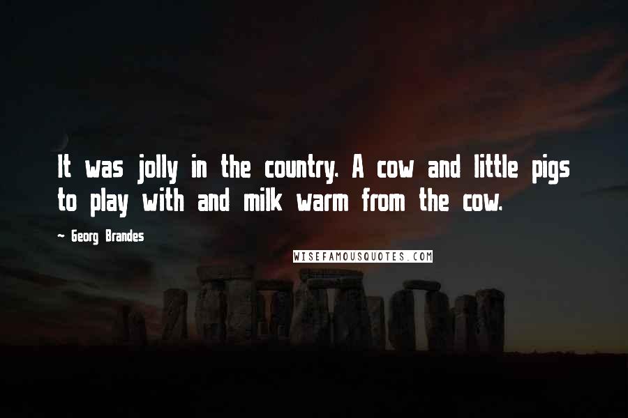 Georg Brandes Quotes: It was jolly in the country. A cow and little pigs to play with and milk warm from the cow.