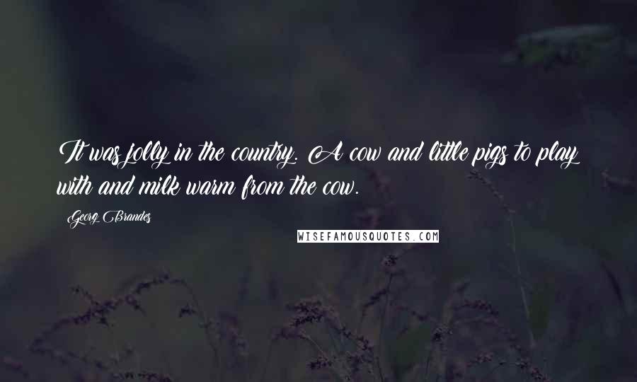 Georg Brandes Quotes: It was jolly in the country. A cow and little pigs to play with and milk warm from the cow.