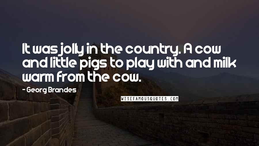 Georg Brandes Quotes: It was jolly in the country. A cow and little pigs to play with and milk warm from the cow.