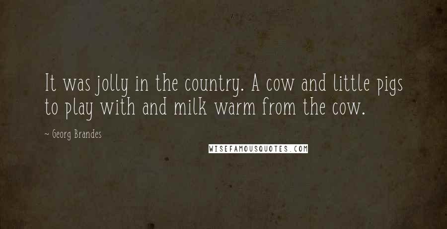 Georg Brandes Quotes: It was jolly in the country. A cow and little pigs to play with and milk warm from the cow.