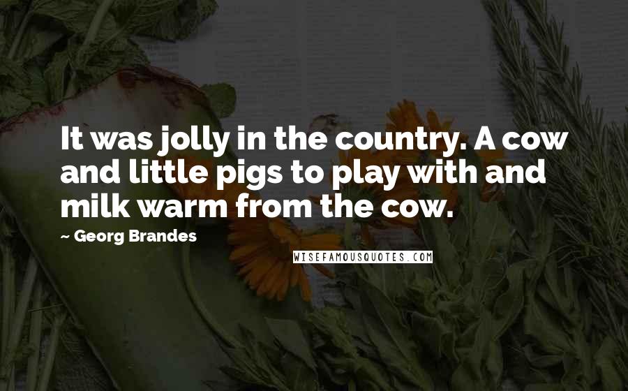 Georg Brandes Quotes: It was jolly in the country. A cow and little pigs to play with and milk warm from the cow.