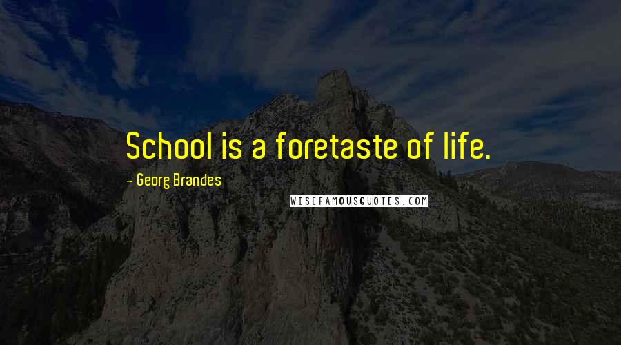 Georg Brandes Quotes: School is a foretaste of life.