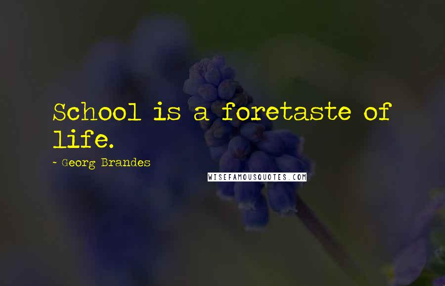 Georg Brandes Quotes: School is a foretaste of life.