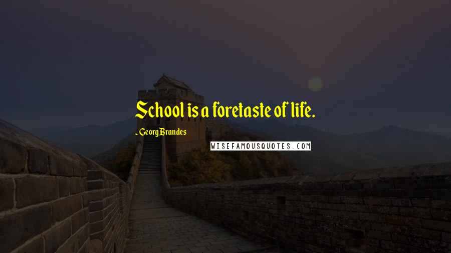Georg Brandes Quotes: School is a foretaste of life.